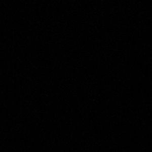 Meet your Posher, Rose